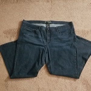 Torrid (Source of Wisdom) - Sz 26 Jeans